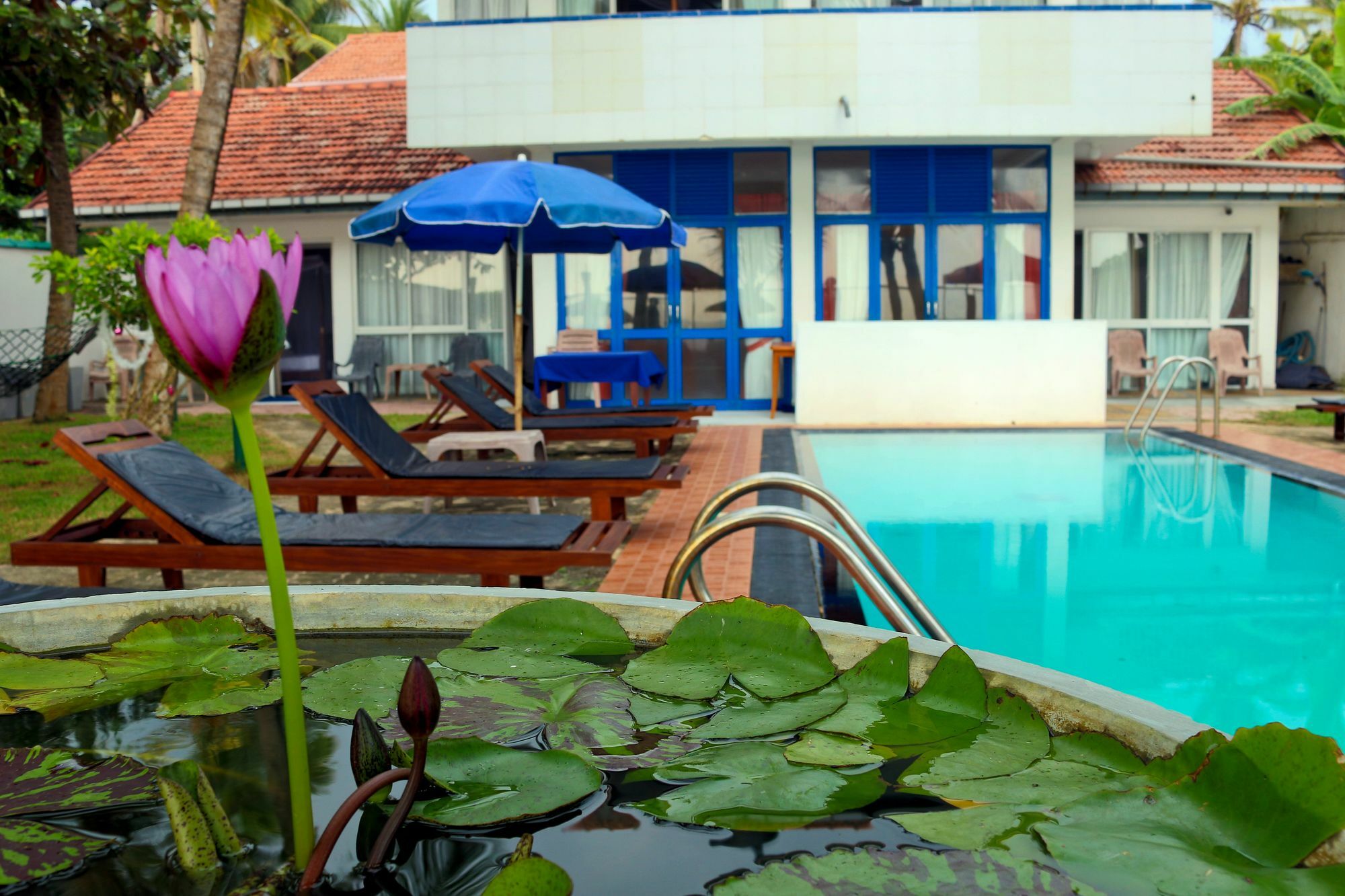 Edelweiss Resort Mirissa Eksteriør billede